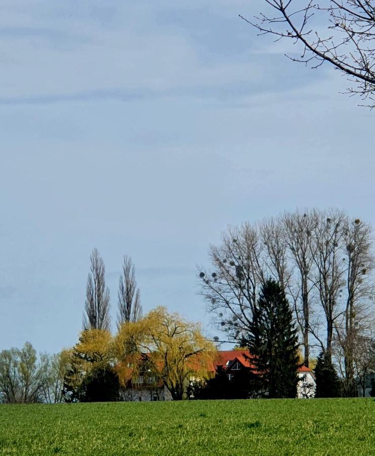 Haus Mueritz, Fewo 12 Moewe Zielow エクステリア 写真